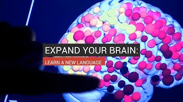 Expand Your Brain: Learn A New Language