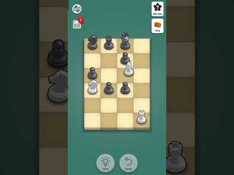 Level 555 - Pocket Chess