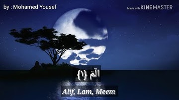 تلاوة هادئه... ماتيسر من سورة العنكبوت..🌸