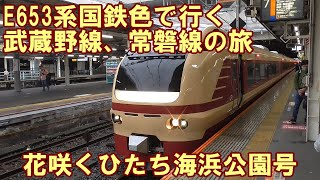 【E653系国鉄色で運転！】臨時快速花咲くひたち海浜公園号に乗車してきました！