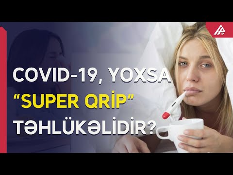 Video: Sosial Sistem Kimi Cəmiyyətin əlamətləri