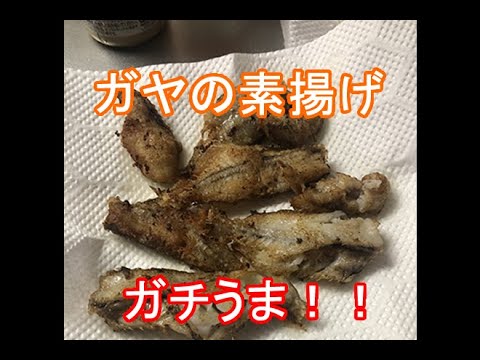 68 男の料理 釣ったガヤを素揚げにしてみた 稚内の釣り人こーすけ Youtube