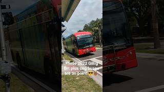 2022 Gillig Brt plus cng on route 42 Bus #347