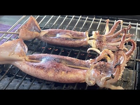 台灣街頭美食（烤魷魚、蚵仔煎、雞蛋糕） | Taiwan Street Food (Grilled squid, oyster omelet, yellow cake) | 台湾のグルメ