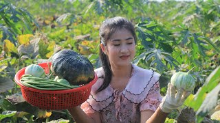 Harvest Long Beans, Eggplants and Pumpkin To Make Chicken Curry - Prepare By Countryside Life TV.