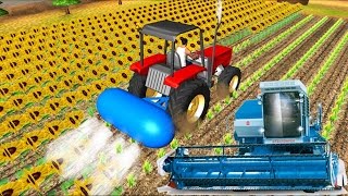 Машинки Мультики для детей🚜 Синий Трактор Ферма Паровозики Развивающие Мультфильмы все серии подряд Машинки Мультики для детей🚜 Синий Трактор Ферма Паровозики Развивающие Мультфильмы все серии подряд