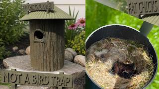 3D Print Birdhouse DEMO