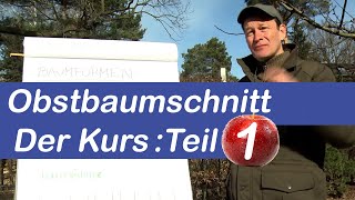 Obstbaumschnitt Der Kurs | Obstbaum schneiden Schritt für Schritt erklärt | Teil 1 Theorie