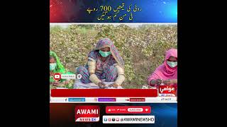 روئی کی قیمتیں 700 روپے فی من کم ہوگئیں