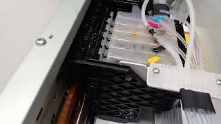 P0029