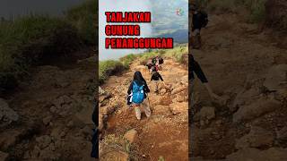 ngeri, tanjakan gunung penanggungan #pendaki #penanggungan #hiking #shorts #short #viral #shortvideo
