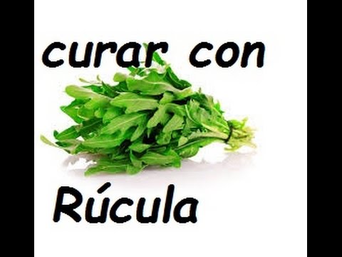agua de rúcula para adelgazar agua de rúcula para adelgazar
