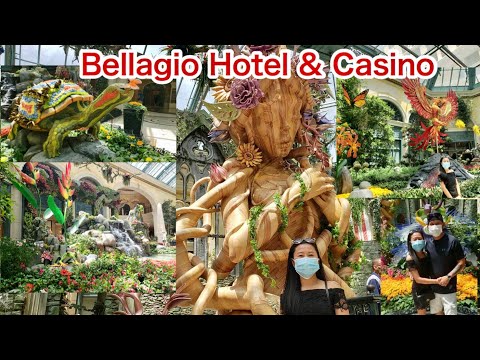 วีดีโอ: คู่มือฉบับสมบูรณ์สำหรับคาสิโน Bellagio Hotel & ในลาสเวกัส
