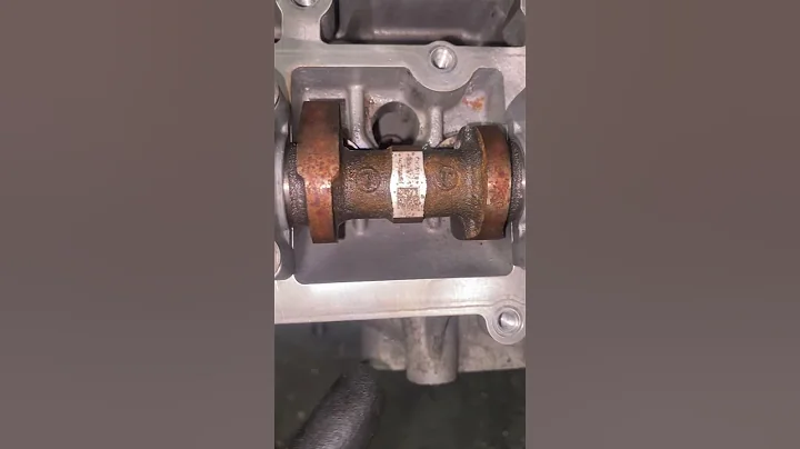 Setting timing belt Ford focus 1.0 ecoboost