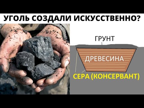 Видео: Уголь образуется сегодня?