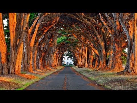 Touching Heart Guitar Instrumental Music – Relaxing Guitar Love Songs 2018 – Best Sweet Love Melody
