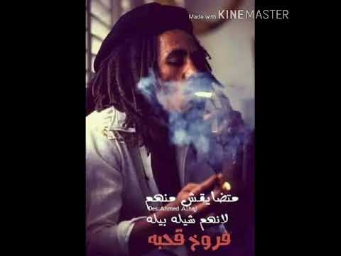 اقوى اغنية ريقي ليبي والقلب حالف لا ماينساك فرقة الطائر الابيض من اجمل اغاني الريقي حالات واتس اب