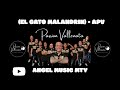 APV PASSION VALLENATA - (EL GATO MALANDRIN) ANGEL MUSIC MTY