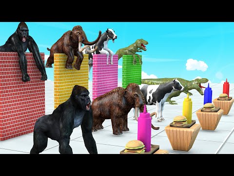cow, gorilla, mammoth elephant, cow cartoon, wild animals, animal games, co...