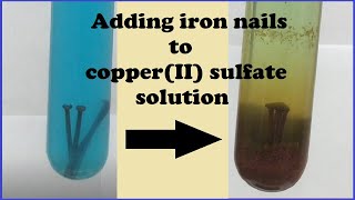 Iron metal + Copper(II) sulfate solution reaction Time-lapse 100x