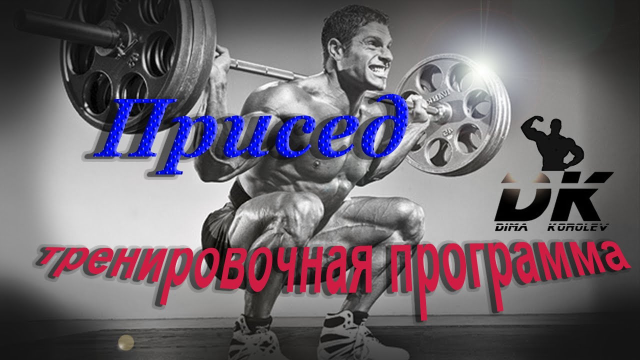 Приседания со штангой. Тренировочная программа