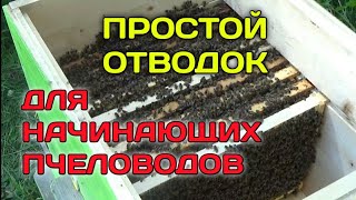 Простой и Быстрый Отводок Без Матки/Но Нам ПовезлоМатка Сама Прилетела/Плюс Пчелосемья