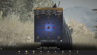 BDO 2023 - Evasion Build Crystal Presets - What I Run [Updated]