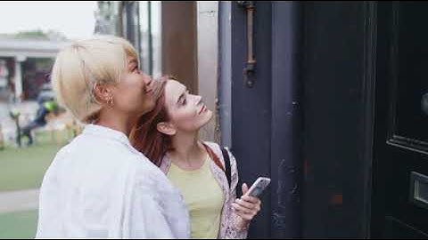 Canvassing with MiniVAN