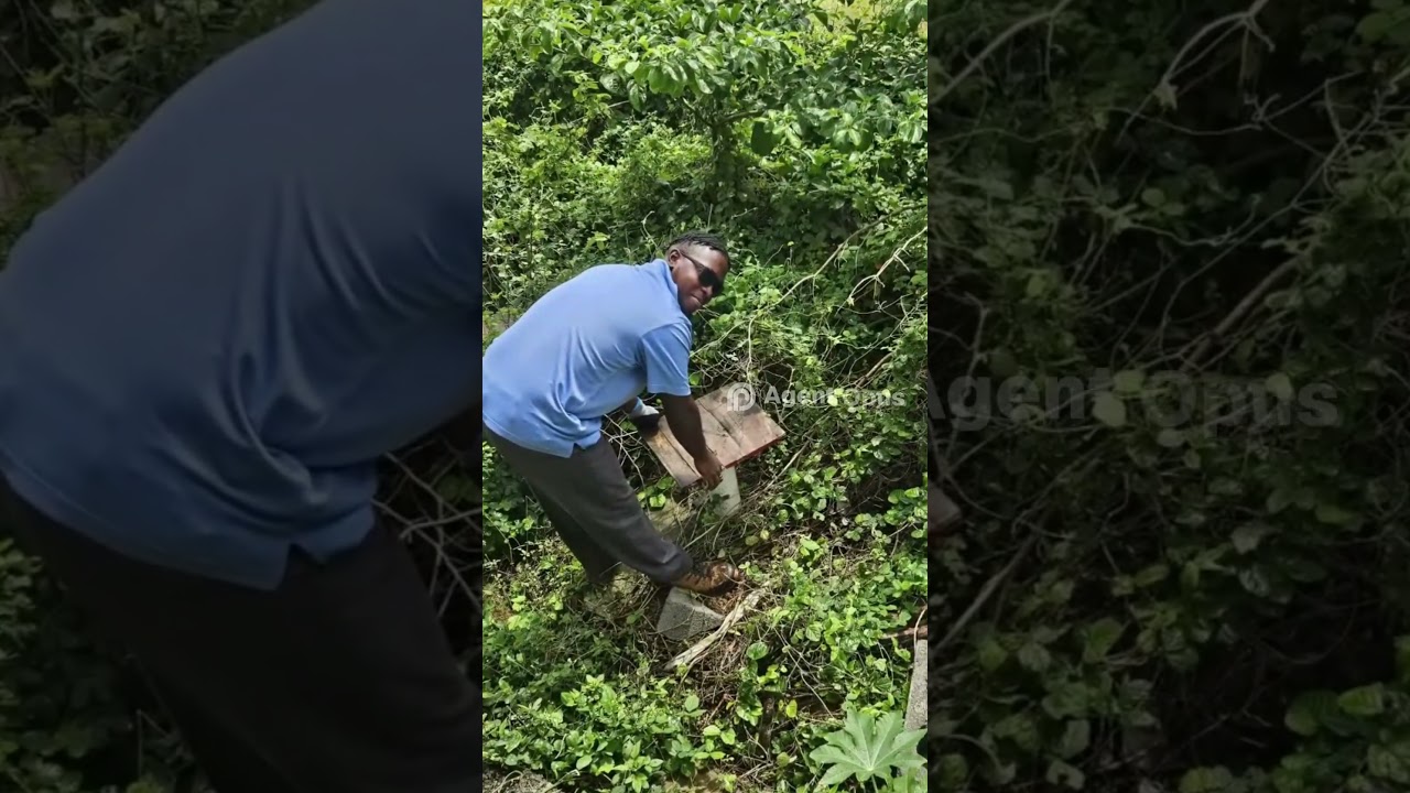 Stop Mosquito Diseases Before They Start: Professional Mosquito Control | Pest Asset