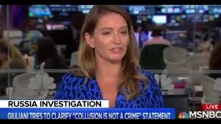 MSNBC's Katy Tur Humiliated for Making False Claim to Smear Trump: 'I Don't Know'