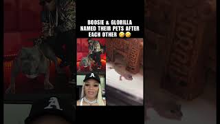 #BOOSIE AND #GLORILLA NAMED THEIR PETS AFTER EACH OTHER 🤣🤣