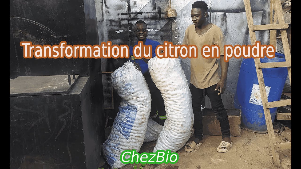 TRANSFORMATION AGRO: #01 Comment réaliser sa poudre de citron ?