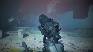 Austringer God Roll Gameplay Destiny 2 Season Of Opulence