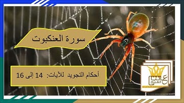 سورة العنكبوت : شرح أحكام التجويد للآيات من 14 إلى 16