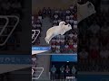 The polar bear also wants to take part in the competition.#shorts #whitebeard