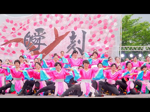 [4K] 近畿大学 洗心　ファイナル演舞　2日目　犬山踊芸祭 2019 (中央)