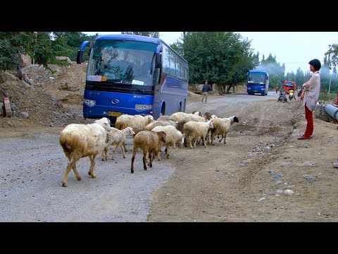 新疆阿克蘇 - 路況差停止前往神木園 Aksu Xinjiang (China)