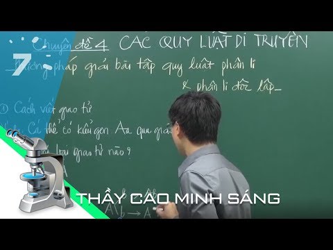 Video Sinh học 12 Bài 8: Quy luật của Menđen | HỌC247 - youtube