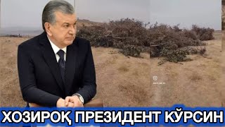 видео: ДАХГАТ ФЕРМЕРЛАРНИ ЕРЛАРИ ТОРТИБ ОЛИНДИ картинка: ДАХГАТ ФЕРМЕРЛАРНИ ЕРЛАРИ ТОРТИБ ОЛИНДИ