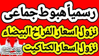 اسعار الفراخ البيضاء اليوم/ سعر الفراخ البيضاء اليوم الخميس ٩-١١-٢٠٢٣ في مصر