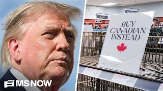 What Trump tells Americans about Canada is 'so incredibly far off from the facts': Hillyard