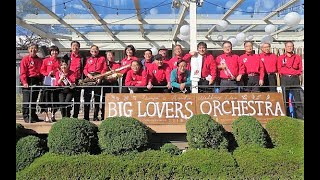 Randi Big Lovers Orchestra 11