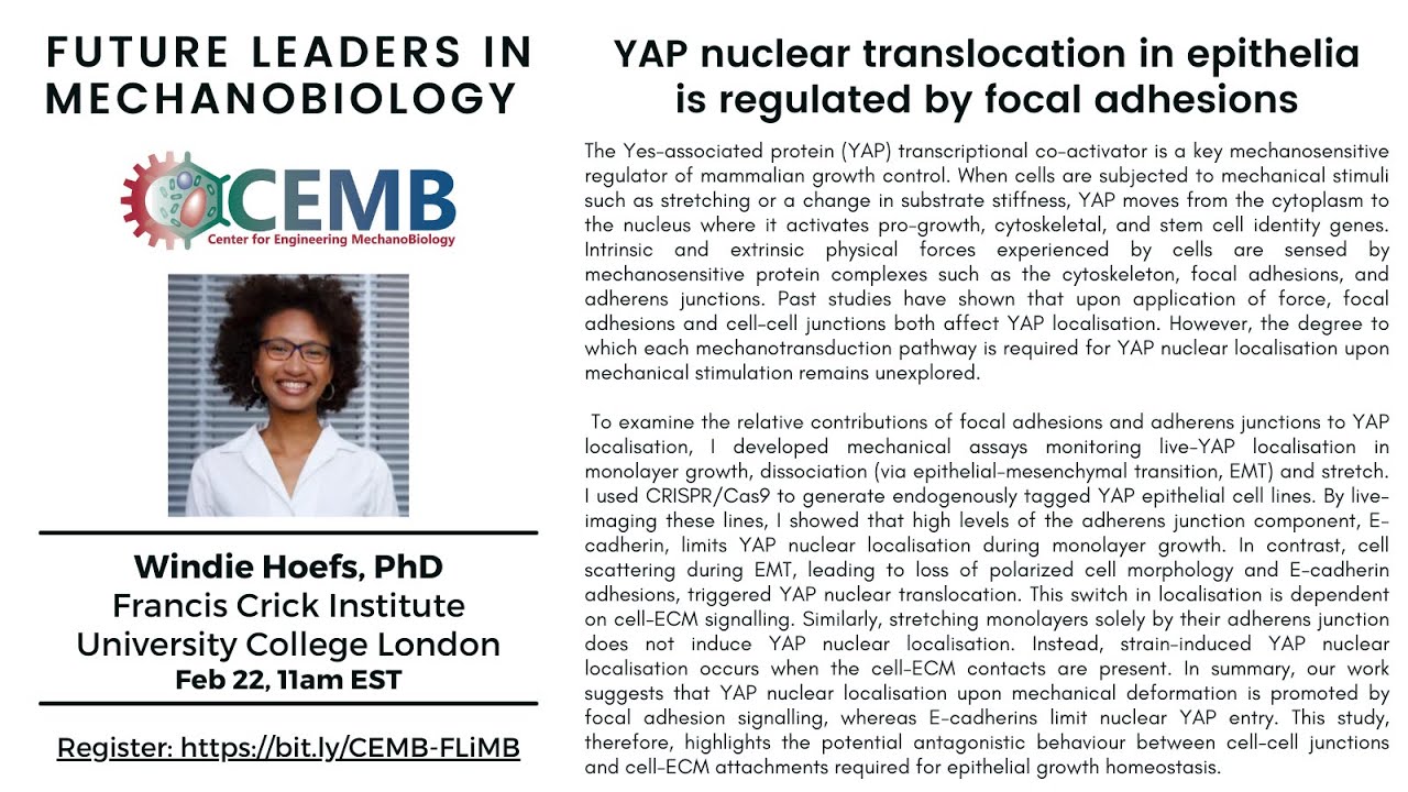 Future Leaders in Mechanobiology Seminar: Windie Höfs