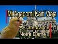 Mi Agaporni Papillera Kairi Viaja a la Catedral de Notre Dame - Segunda Semana en Casa