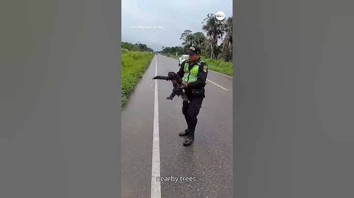 Police rescue sloth on the road #shorts #breakingnews