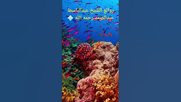 تلاوة خاشعة من سورة الأنفال💠#اكتب_شي_توجر_عليه #انشروا_القران #الحمدلله_دائماً_وابداً