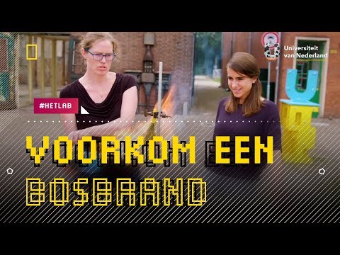 Video: Waarom zijn loofbossen belangrijk?