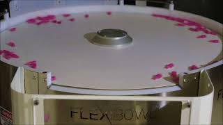 FlexiBowl Quick Emptying Feature Feasiblity Friday