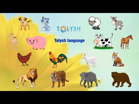 Tolışə zıvon. Kali həyvonon nomon / Talış dili. Bəzi heyvanların adları (talesh, талыш, تالش)