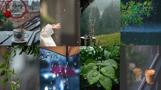 Rain dp|Rain dp for whatsapp|Rain dp pics|Unique dp for rainy weather|Rain dp for whatsapp girl#rain